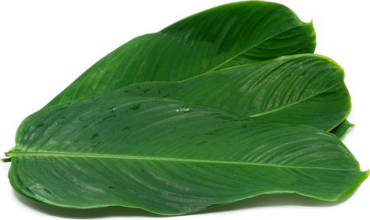 Banana Leaves