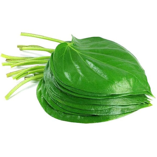 Betel Leaf