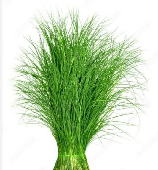 Arugam pullu / Durva Leaves