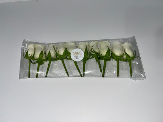 Fresh Roses Hair Pins - White