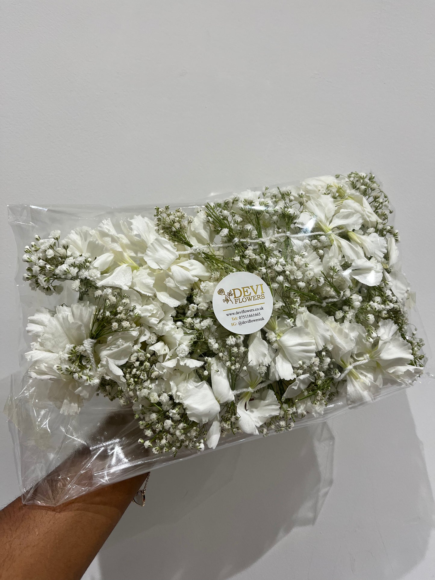 Saram Flowers - Gyps and Carnations