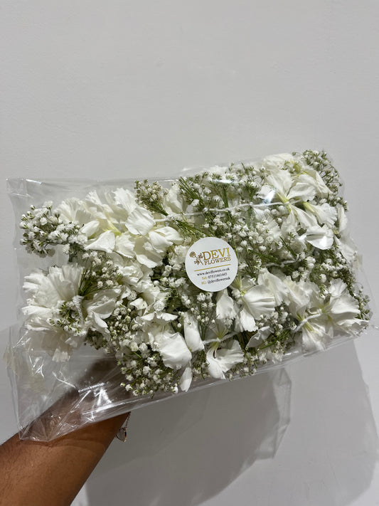 Saram Flowers - Gyps and Carnations