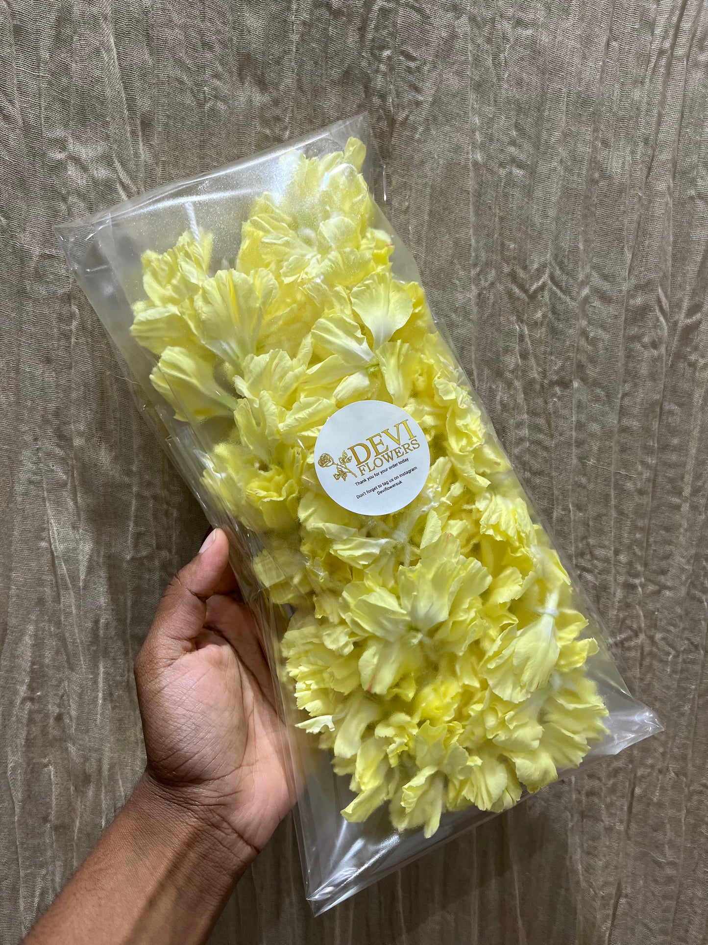 Yellow Carnation Saram Flowers