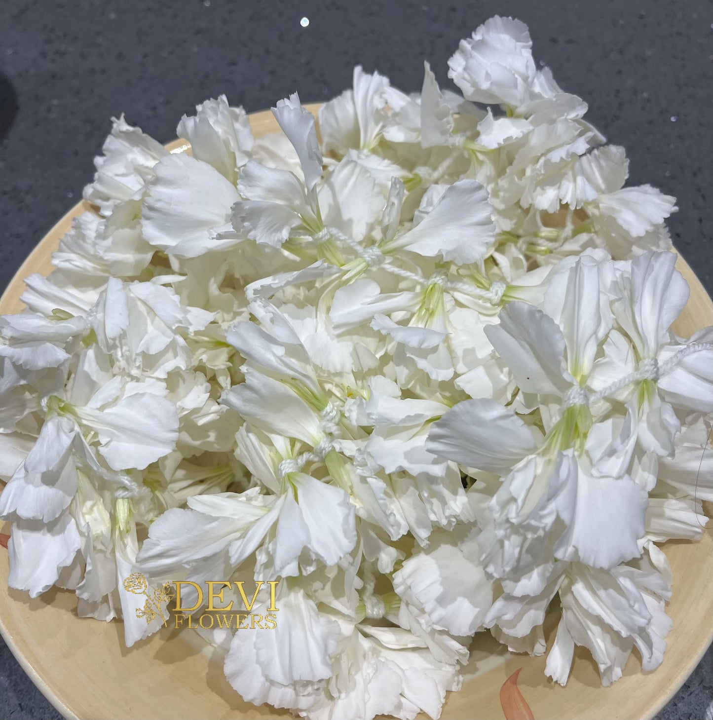 White Carnation Saram Flowers