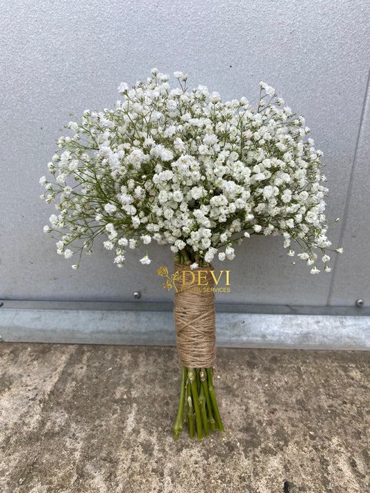 Gypsophila Bouquet